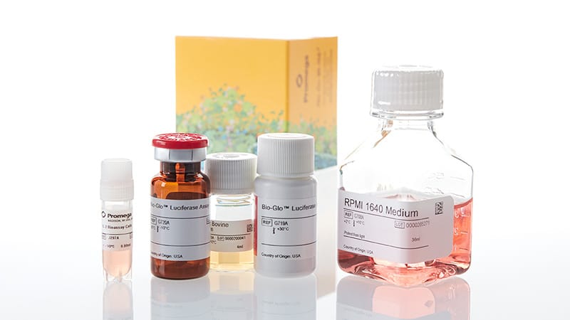 JA3301_IL-2-Bioassay--Korea-_3