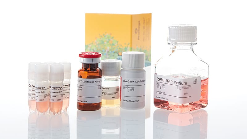 JA3305_IL-2-Bioassay--5X--Korea-_3