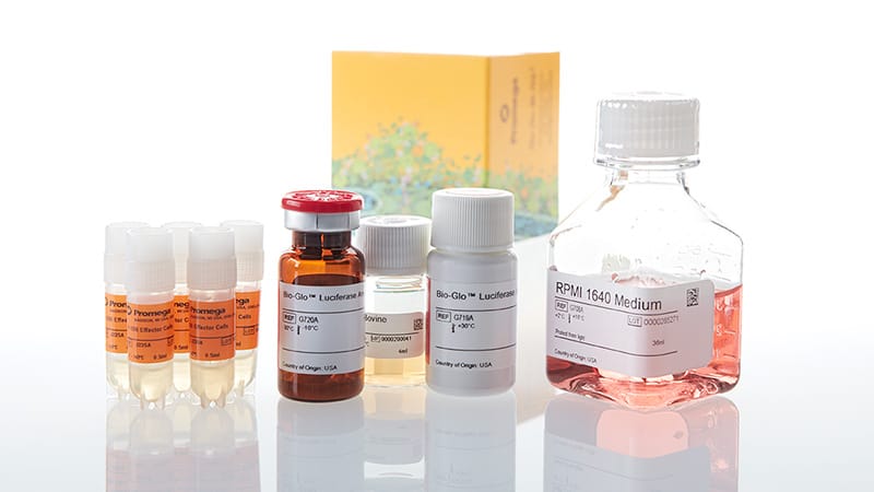 JA3355_4-1BB-Bioassay-5X--Korea-_3