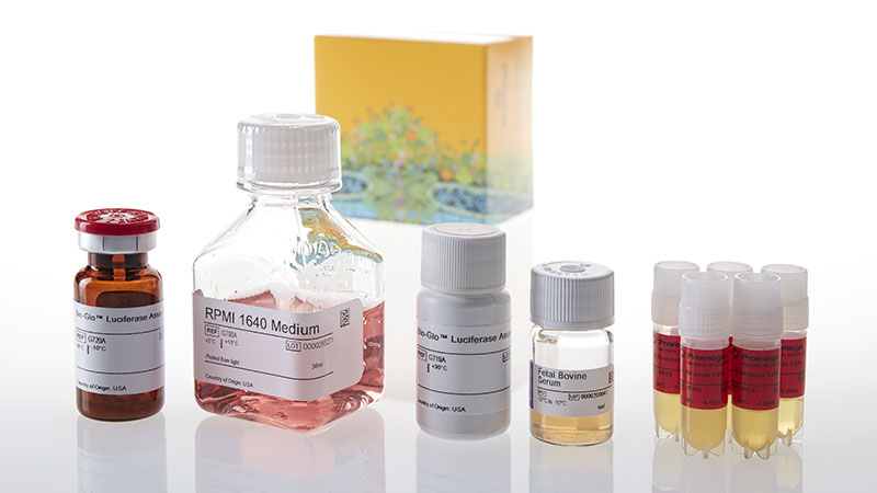JA3505_IL-6-Bioassay-5X--Korea-_3