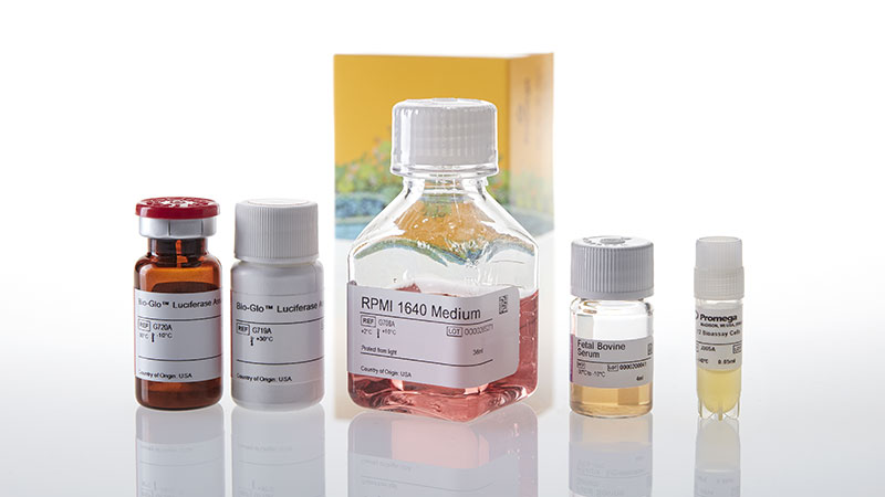 JA3601_-IL-12-Bioassay--Korea-_3