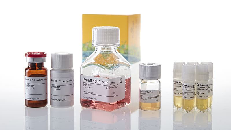 JA3605_IL-12-Bioassay-5X--Korea-_3