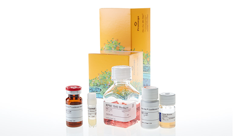 JA3701_RANKL-Bioassay--Korea-_3
