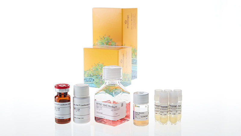 JA3705_RANKL-Bioassay-5X--Korea-_3