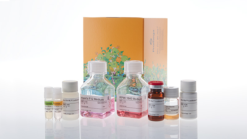 ja4901-sirpa-cd47-blockade-bioassay-kit-fc-dependent-korea-3