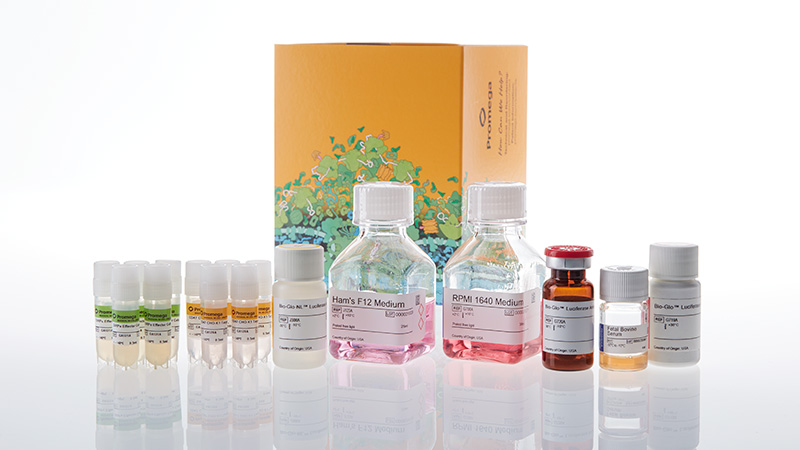 ja4905-sirpa-cd47-blockade-bioassay-kit-fc-dependent-5x-korea-3
