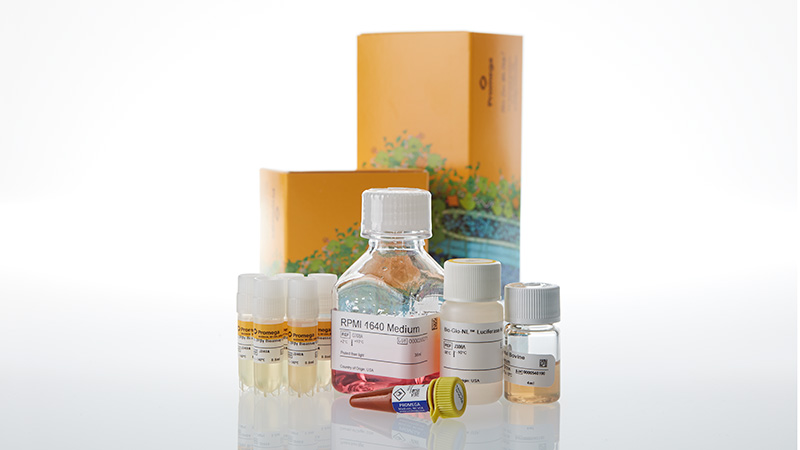 ja6905-il-2rbg-bioassay-5x-korea