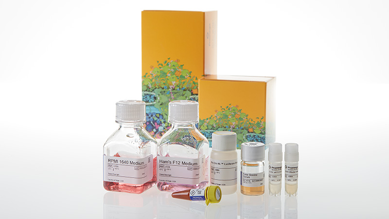 JA7001_ICOS-Blockade-Bioassay--Korea-_3