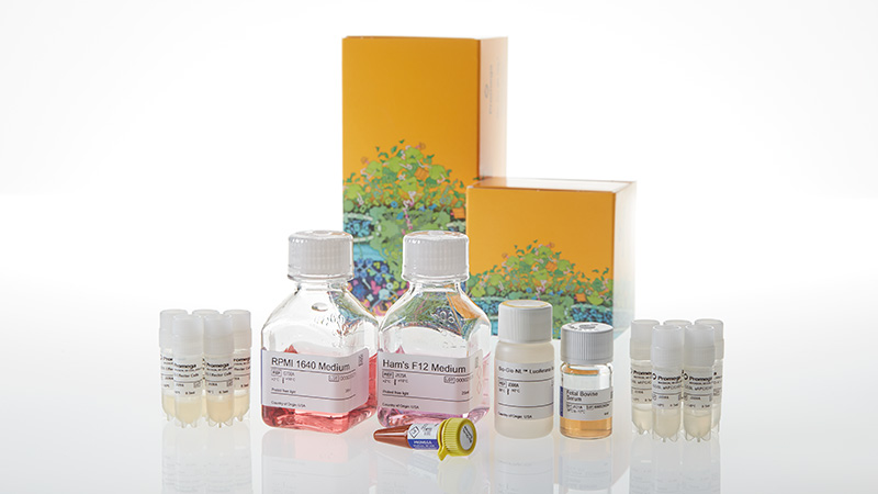 JA7005_ICOS-Blockade-Bioassay-5X--Korea-_3