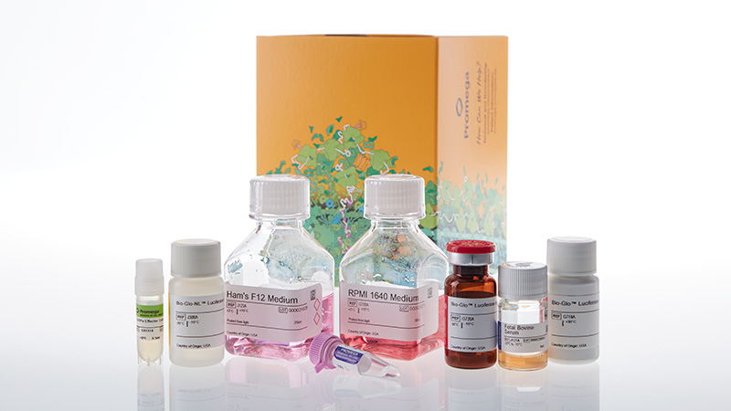 ja7011-sirpa-cd47-blockade-bioassay-kit-korea-3