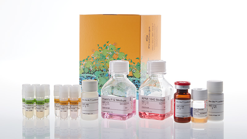 ja7015-sirpa-cd47-blockade-bioassay-kit-5x-korea-3