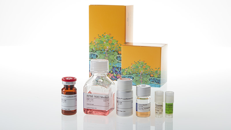 JA7101_CD28-Blockade-Bioassay--Korea-_3