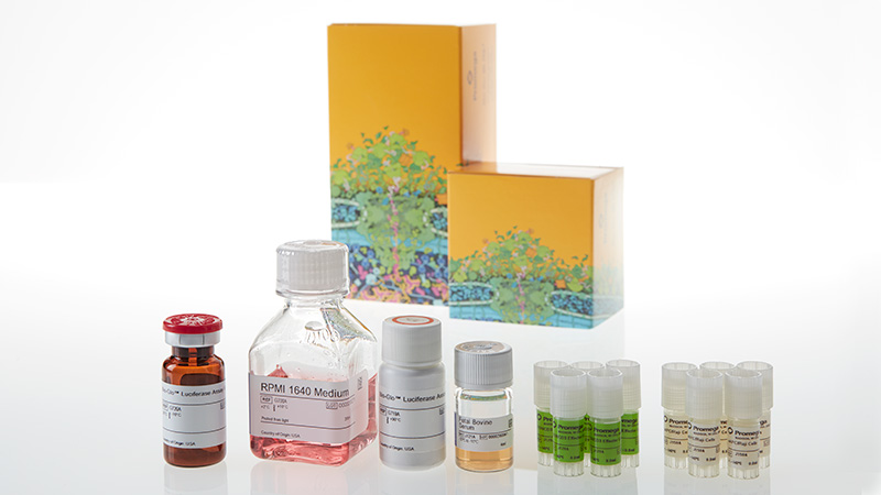 JA7105_CD28-Blockade-Bioassay-5X--Korea-_3