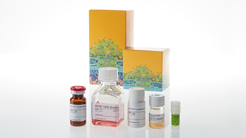 JA7701_CD28-Bioassay--Core-Kit--Korea-_3