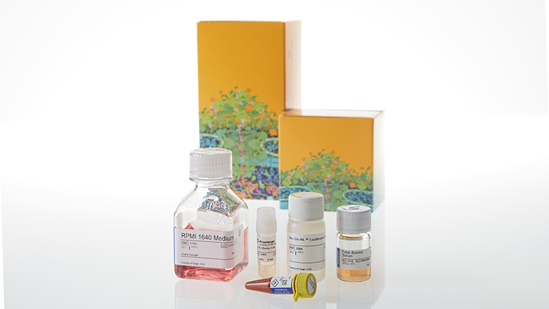 JA7801_ICOS-Bioassay--Core-Kit--Korea-_3