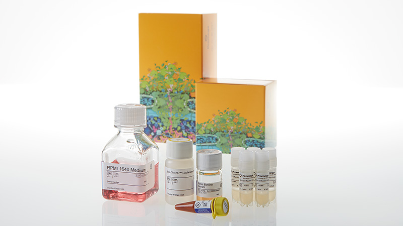 JA7805_ICOS-Bioassay--Core-Kit-5X--Korea-_3
