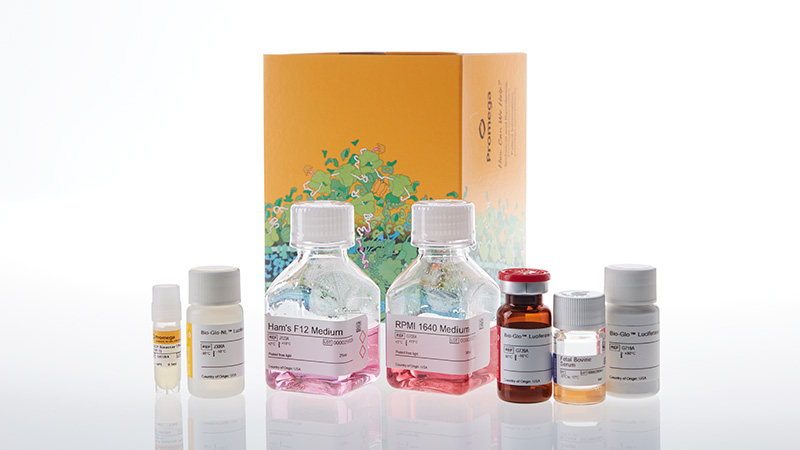 ja9511adcpreporterbioassaykitthp1korea3
