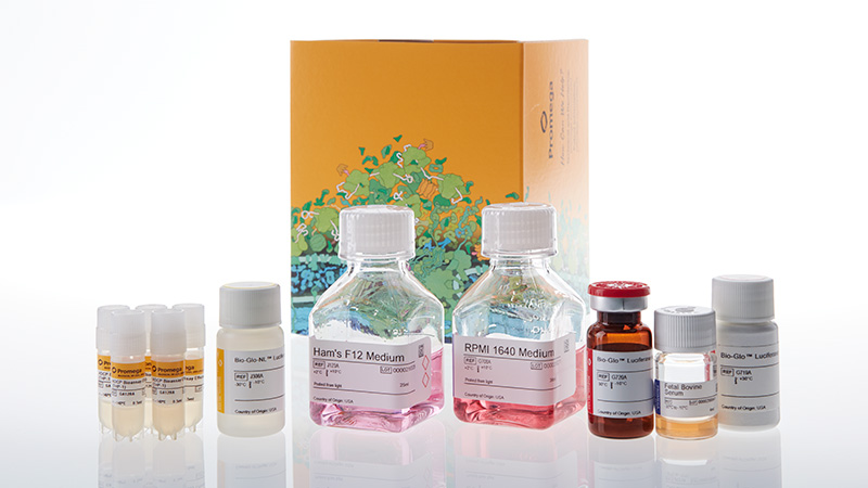 ja9515-adcp-reporter-bioassay-kit-thp-1-5x-korea-3