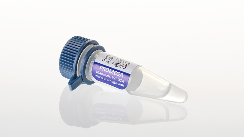 K1150_Control-Ab-Anti-LAG-3