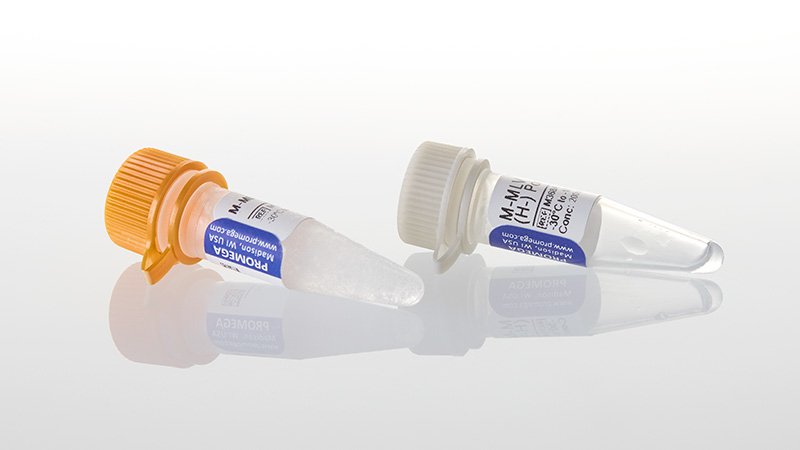 M3681_M-MLV-RT-RNase--H---Point-Mutant--2500u_3