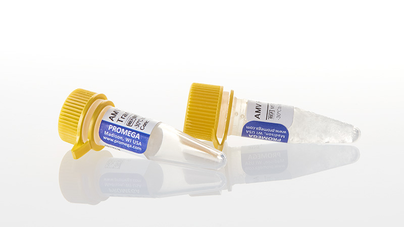 M5101_AMV-Reverse-Transcriptase--300u_3