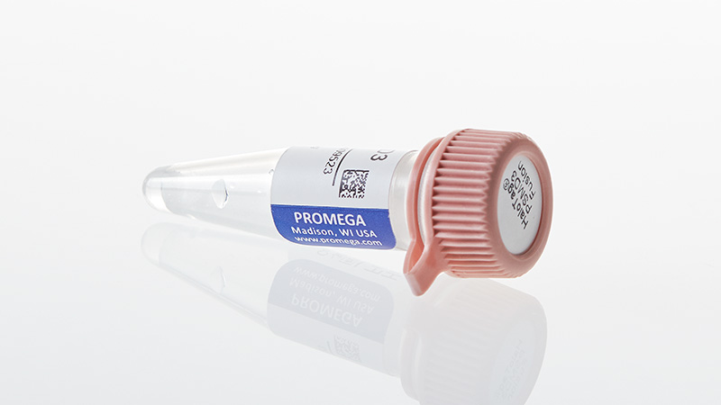 N2701_HaloTag--PSMD3-Fusion-Vector_3