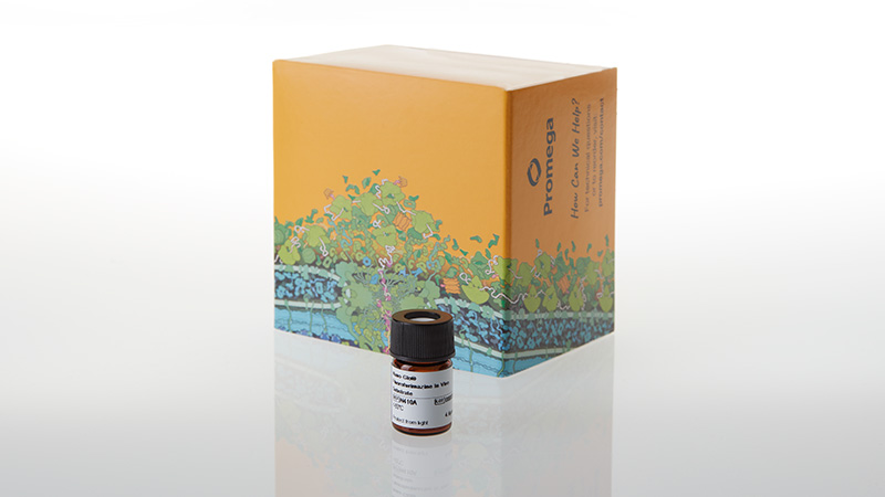 n4100-nano-glo-fluorofurimazine-invivo-substrate-1-each-3