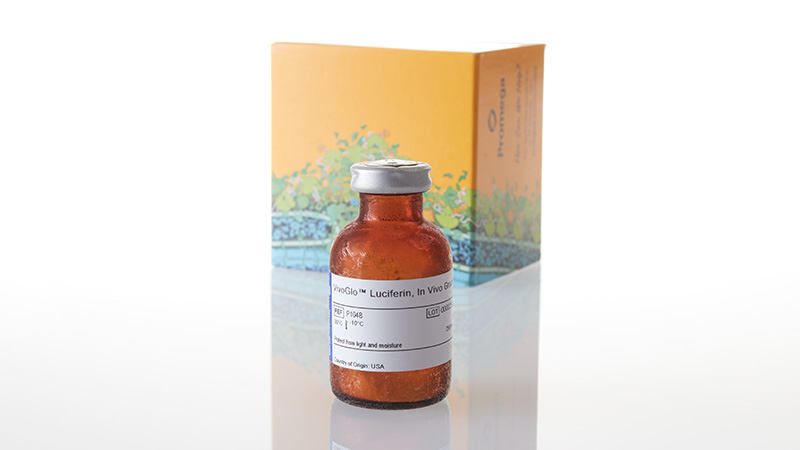 P1042_VivoGlo--Luciferin--In-Vivo-Grade--250mg_3
