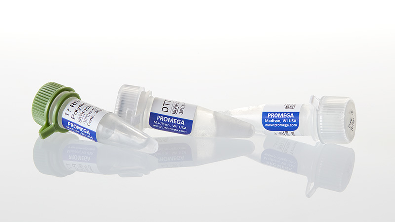 P2075_T7-RNA-Polymerase--1-000u_3