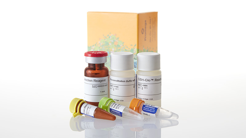 V6911_GSH-Glo--Glutathione-Assay--10ml_3