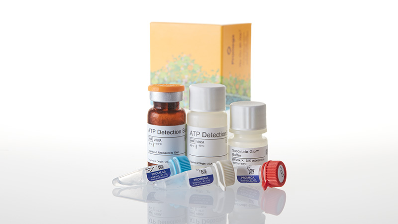 V7990_Succinate-Glo-JmjC DemethylaseHydroxylase Assay