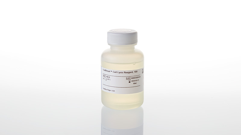 V8572-fastbreak-cell-lysis-reagent-10X-60ml