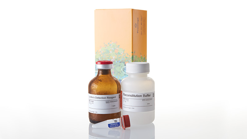 V8772_P450-Glo--CYP1A2-Assay--50ml_3