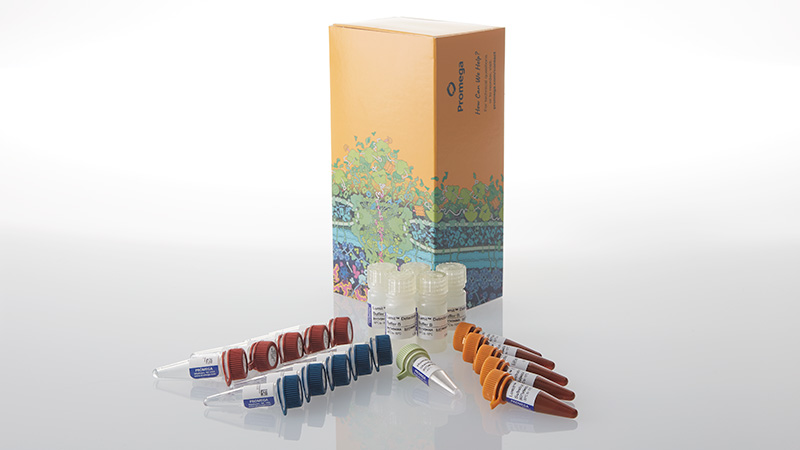 w1812-lumit-ifn-beta-human-immunoassay