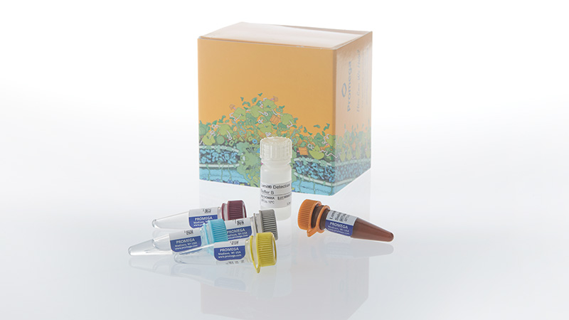 w1910lumitactiveil18humanimmunoassay3