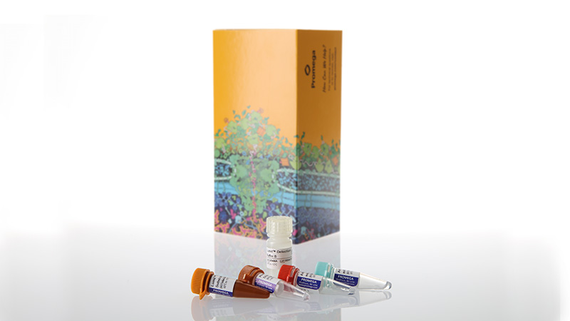 w6040-lumit-ifn-y-human-immunoassay-100-assays