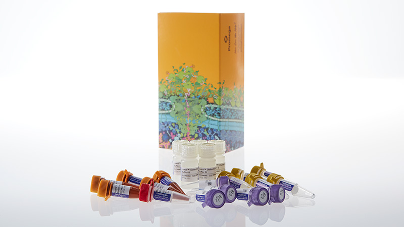 W7012_Lumit-Mouse-IL-1beta-Immunoassay_3