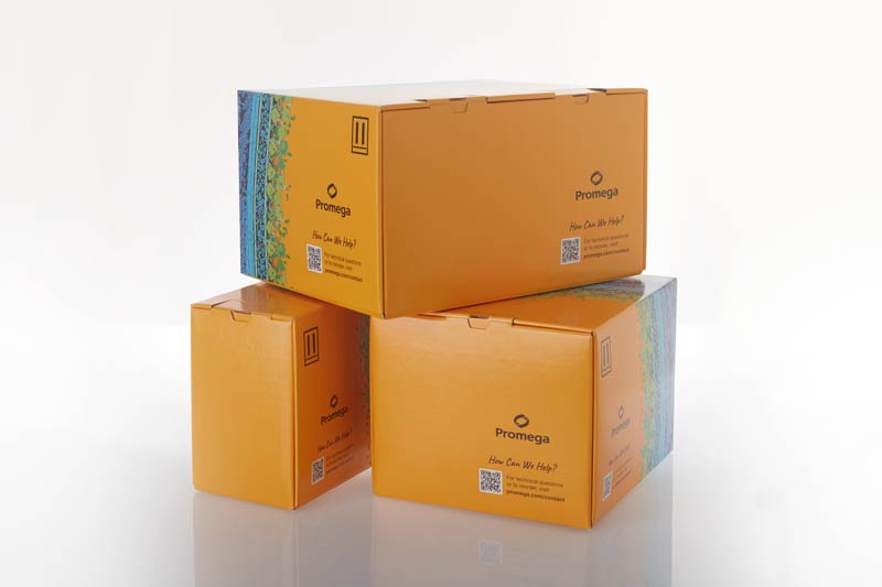 new-kit-boxes-2026