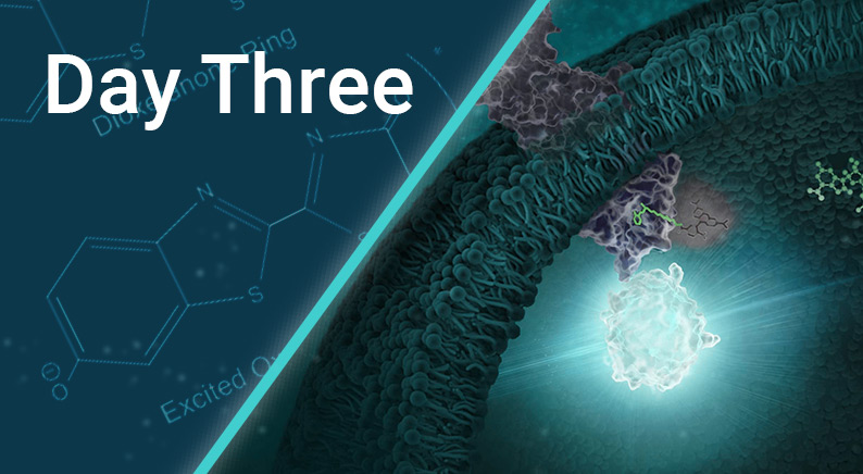 day-three-of-discover-glo-event