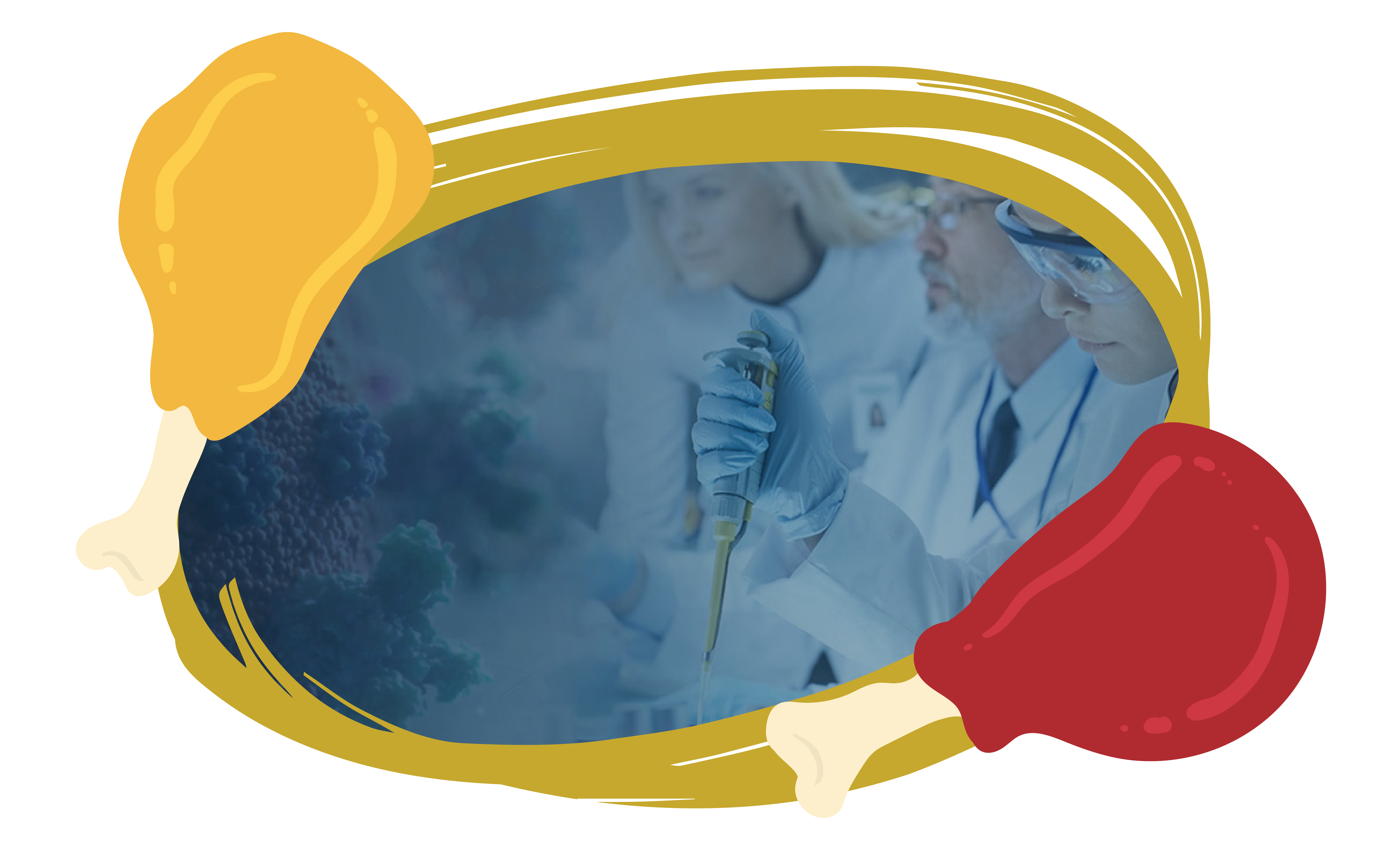 Tailored R&D Solutions enclosed in a circle frame border with hot wings