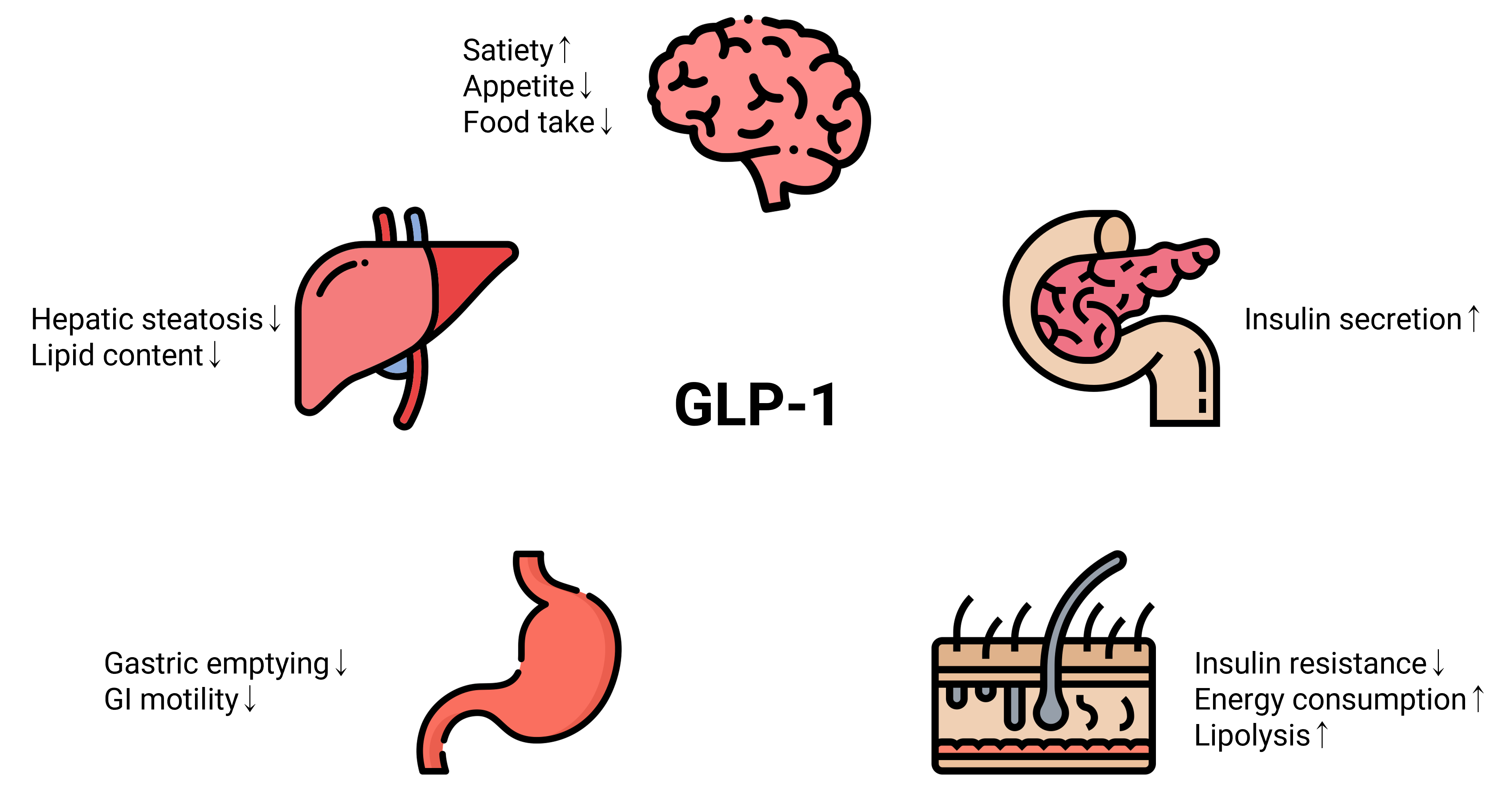 cellbiology-21-2