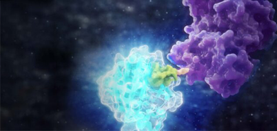 drugdiscovery-28-thum