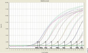 qpcr-01