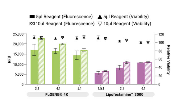 luciferase-graph-1