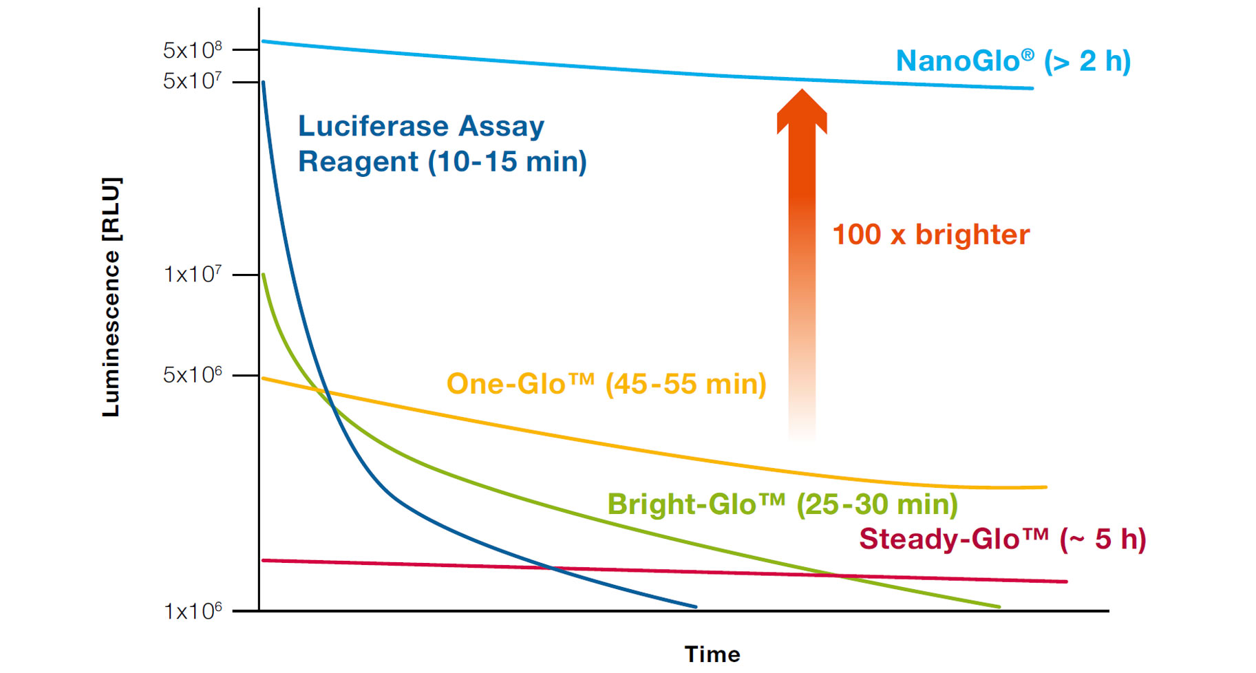 luciferase-img-2
