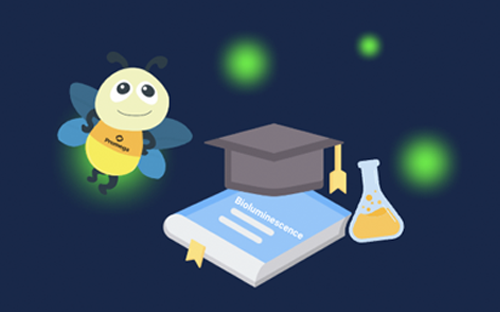 2025-thesis-certification01