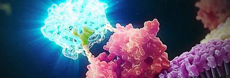 cell-based-assay-seminars