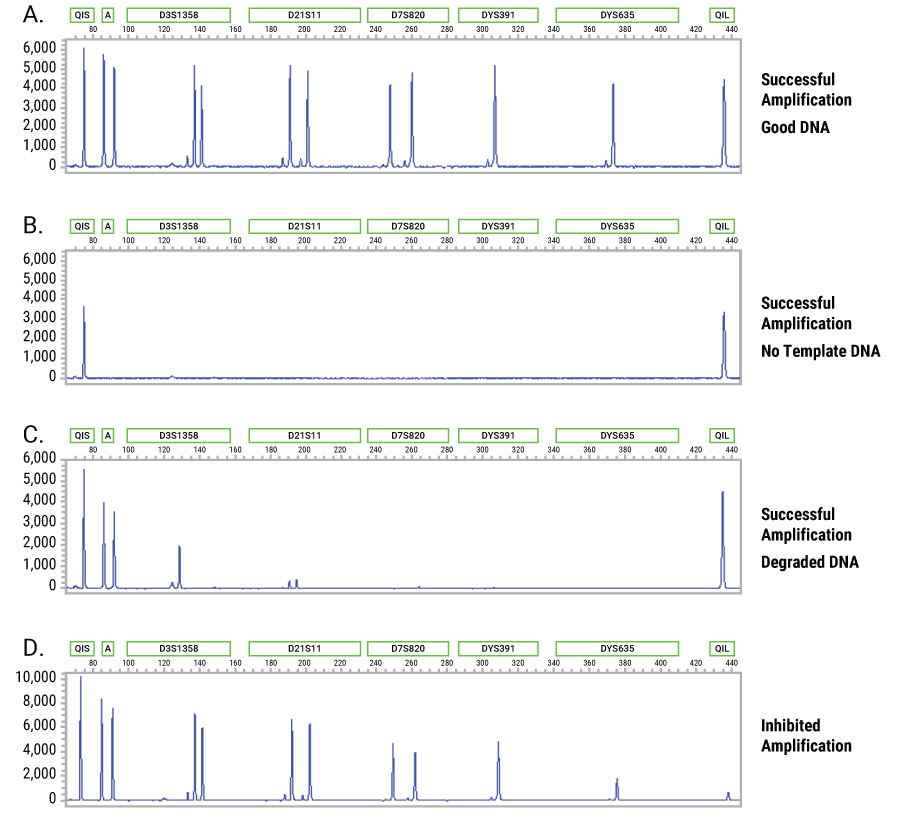 Electropherogram showing quality indicators for the PowerPlex® 35GY System.