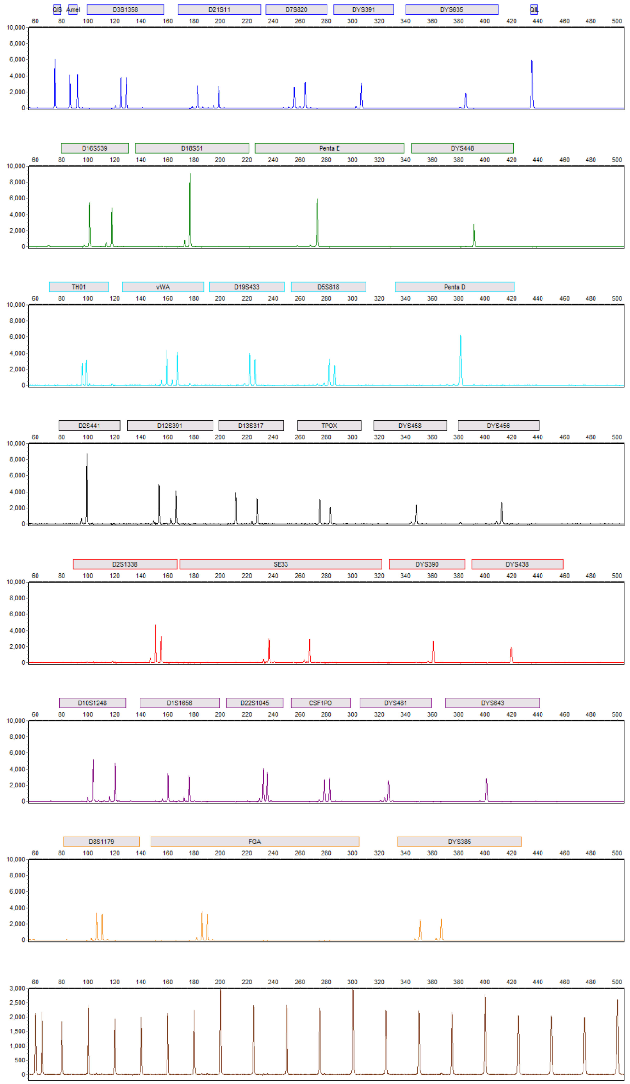 Profile from the sperm fraction of a post-coital sample obtained using the Maxwell® DE System.
