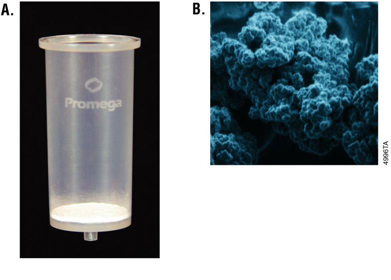 Images of two Promega silica purification matrices. Panel A.</strong> A PureYieldTM Midiprep binding column. The membrane is present at the bottom of the column. Panel B. An electron micrograph of MagneSil PMPs